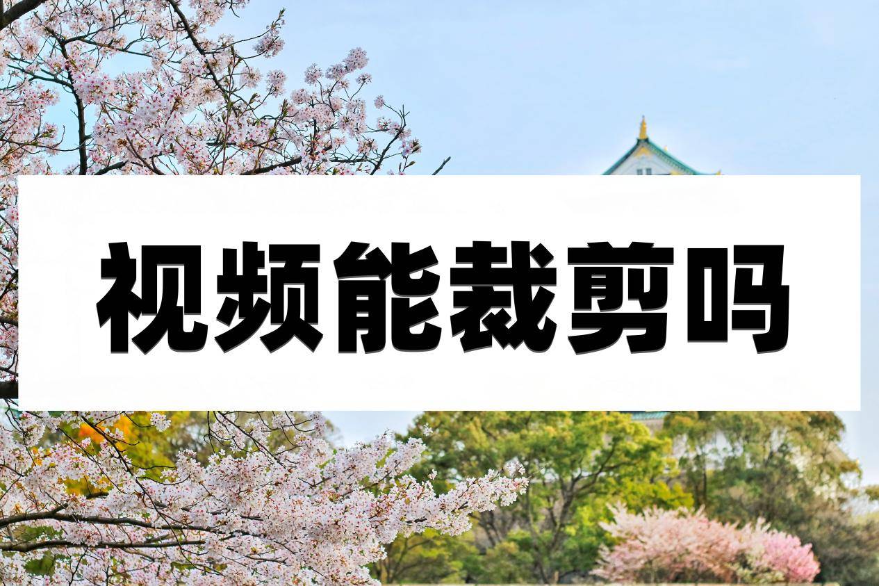 視頻剪輯可以加入中視頻計(jì)劃嗎_視頻可以剪輯嗎_視頻剪輯可以干什么工作